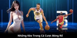 Cá Cược Bóng Rổ