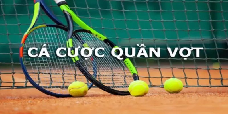 Cá Cược Tennis Vin777 - Hướng Dẫn Chi Tiết Cho Người Mới Chơi 3 Cá Cược Tennis